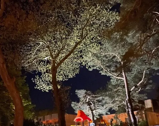 Caloroczne Perla * Mrzeżyno